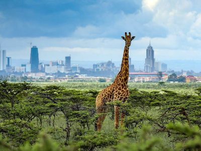 NNP-1 Kenya Safari Tours