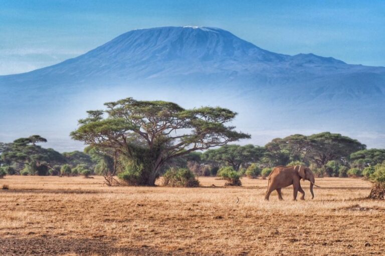 3 Days Amboseli National Park Lodge Safari | African Breeze Tours