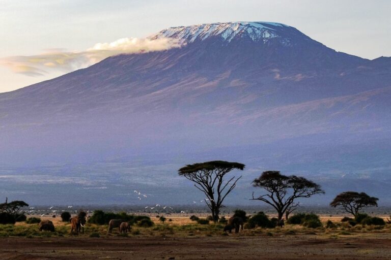 6 Days Amboseli Tsavo East Jeep Joining Safari | African Breeze Tours