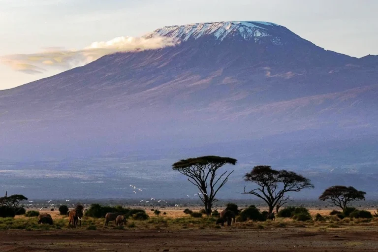 3 Days Jumbo Elephants Safari in Amboseli