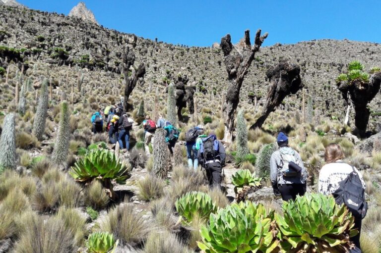 5 Days Mount Kenya Chogoria Route Trek | African Breeze Tours