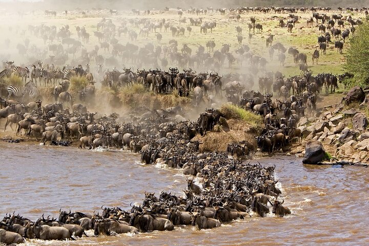 3-Day Wildebeest Migration Safari | African Breeze Tours