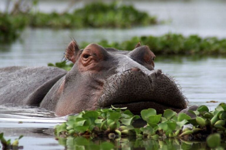 6 days kenya safari | African Breeze Tours