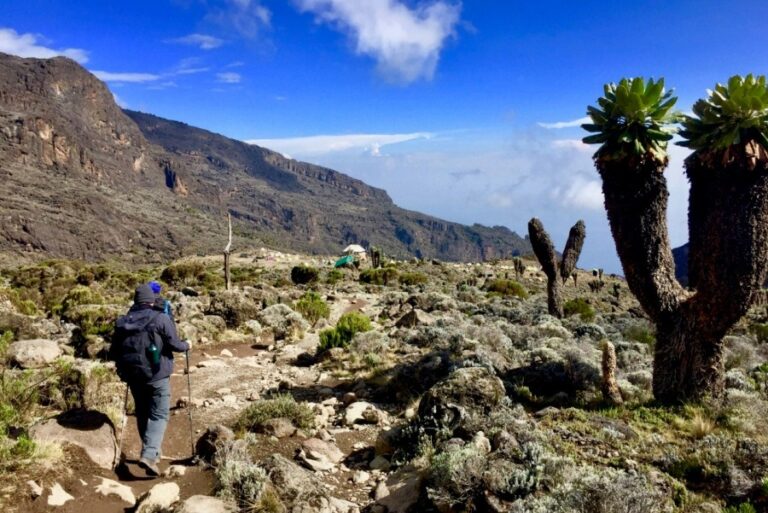 8 Days Kilimanjaro Machame Route Trek | African Breeze Tours