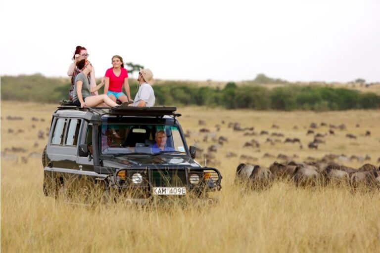 4 Days Masai Mara Wildlife Safari | African Breeze Tours