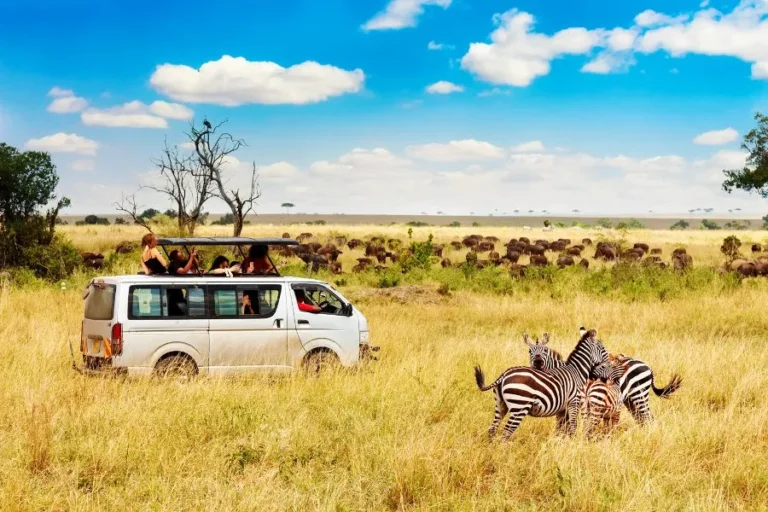 10 Days Great Wildebeest Migration Safari & Beach Holiday