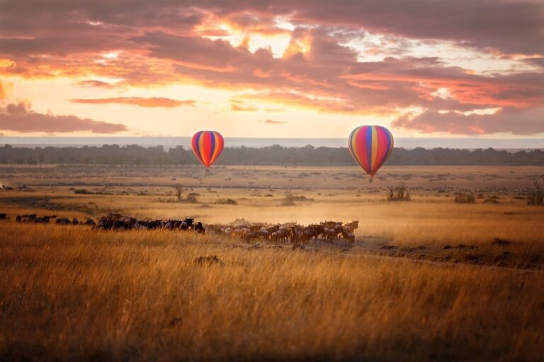 2 Days Masai Mara Flying Safari | African Breeze Tours
