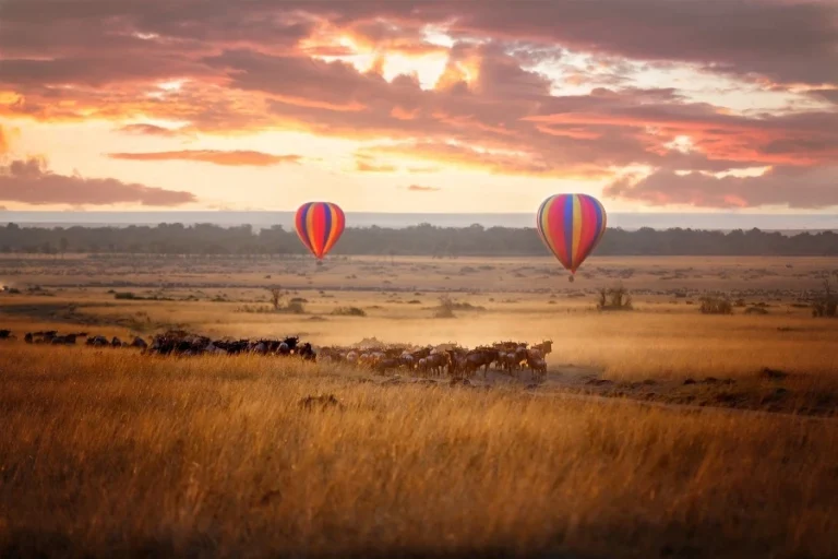 Masai Mara Balloon Safari