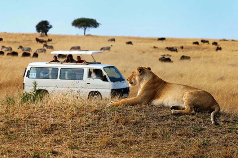 6 Days City Excursion/Masai Mara Tour