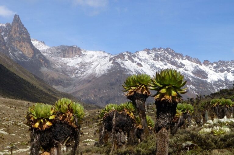 6 Days Mount Kenya Sirimon Chogoria Trek | African Breeze Tours
