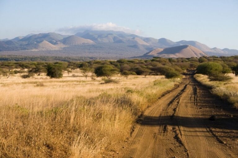 8 Days Masai Mara Lodge Safari Adventure | African Breeze Tours