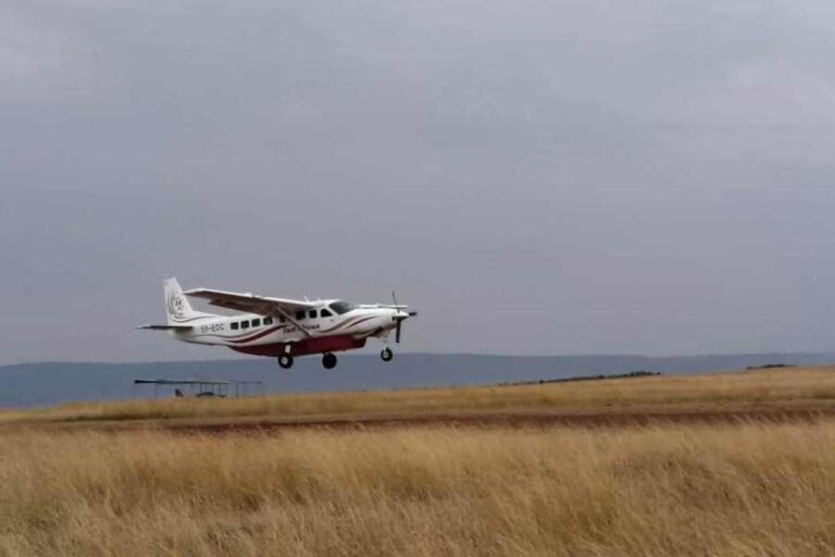 3 Days Masai Mara Flying Safari | African Breeze Tours
