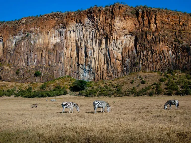 1-Day Lake Naivasha Road Trip from Nairobi